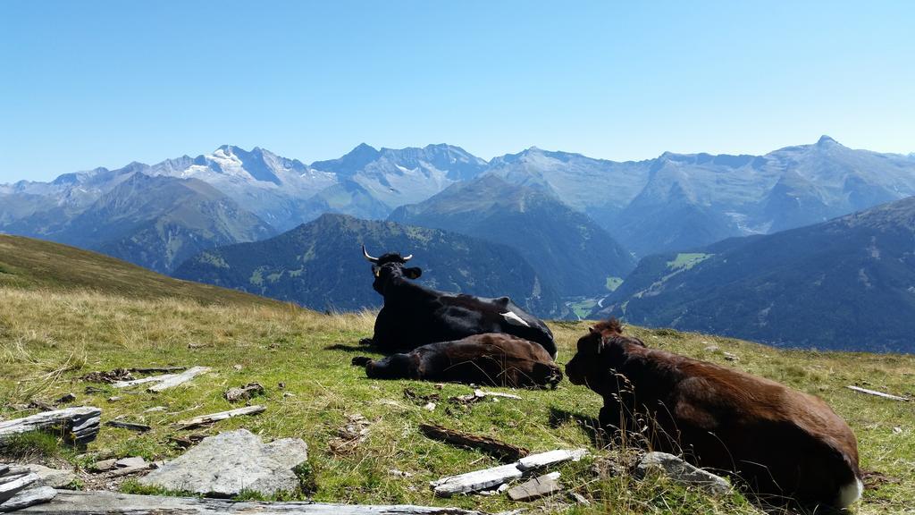 Ferienwohnungen Tiroler Alpenhof Innsbruck Zewnętrze zdjęcie